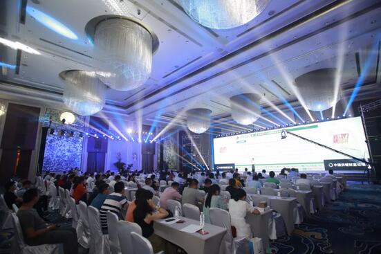 凯时|AG(Asia Gaming)优质运营商